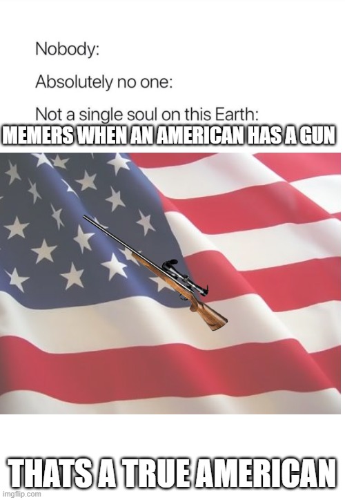 THATS A TRUE AMERICAN |  MEMERS WHEN AN AMERICAN HAS A GUN; THATS A TRUE AMERICAN | image tagged in nobody,american flag,memes,america | made w/ Imgflip meme maker