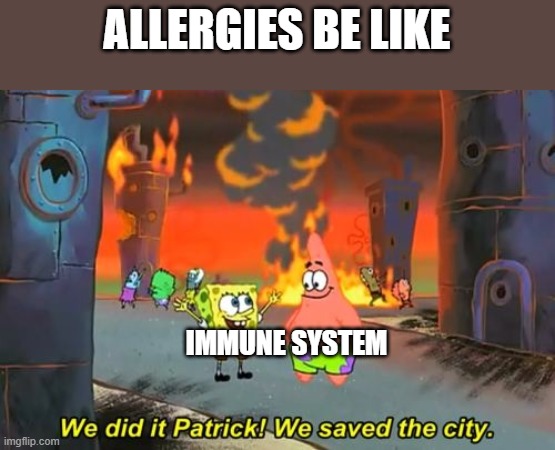 Is this true | ALLERGIES BE LIKE; IMMUNE SYSTEM | image tagged in spongebob we saved the city,allergies,the human body,immune,system,biology | made w/ Imgflip meme maker