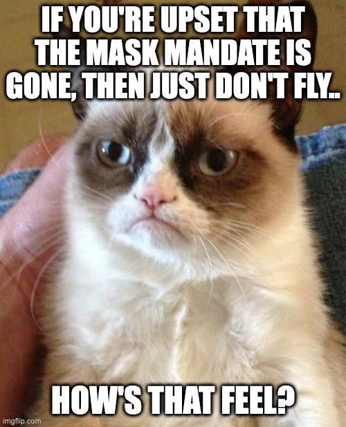 Grumpy Cat Meme | IF YOU'RE UPSET THAT THE MASK MANDATE IS GONE, THEN JUST DON'T FLY.. HOW'S THAT FEEL? | image tagged in memes,grumpy cat | made w/ Imgflip meme maker