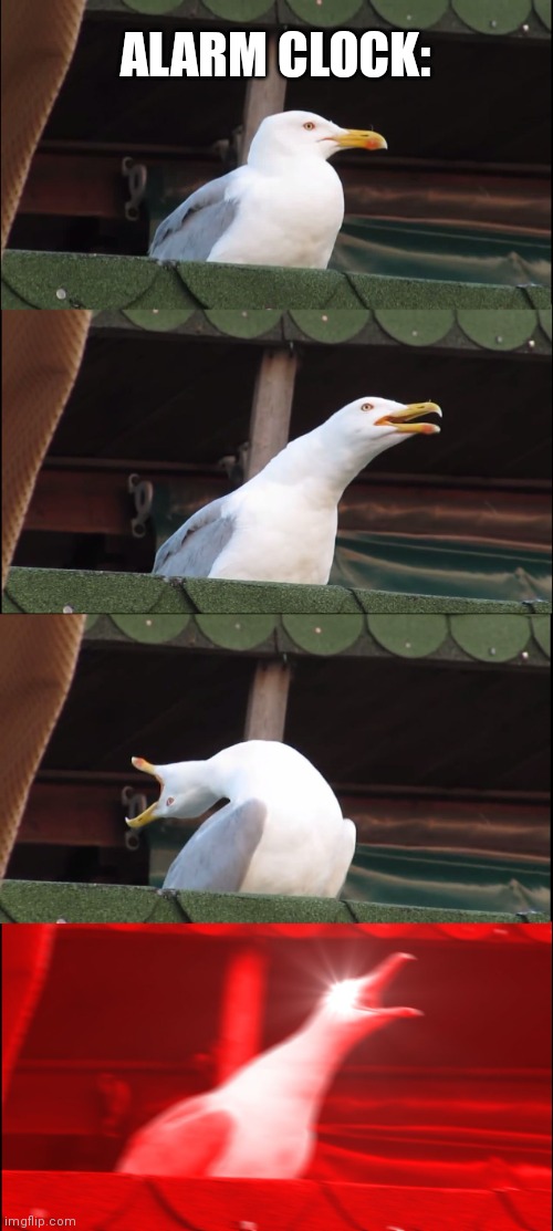 Inhaling Seagull Meme | ALARM CLOCK: | image tagged in memes,inhaling seagull | made w/ Imgflip meme maker