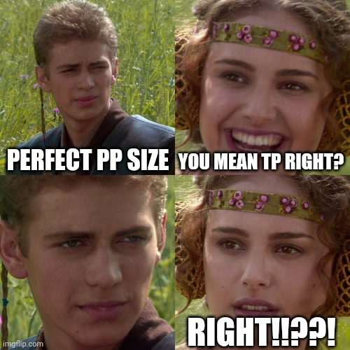 Anakin Padme 4 Panel | PERFECT PP SIZE YOU MEAN TP RIGHT? RIGHT!!??! | image tagged in anakin padme 4 panel | made w/ Imgflip meme maker