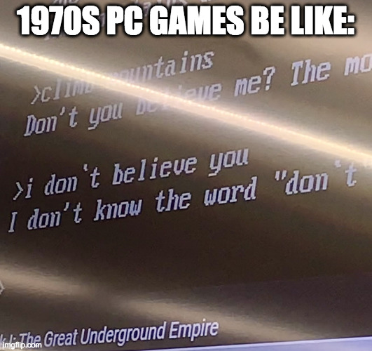 1970s-1980s PC Games be like: | 1970S PC GAMES BE LIKE: | image tagged in text adventure meme,video games,pc gaming | made w/ Imgflip meme maker