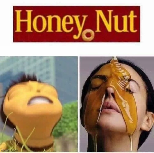 honey nut cherio | image tagged in honey nut bust a nut | made w/ Imgflip meme maker