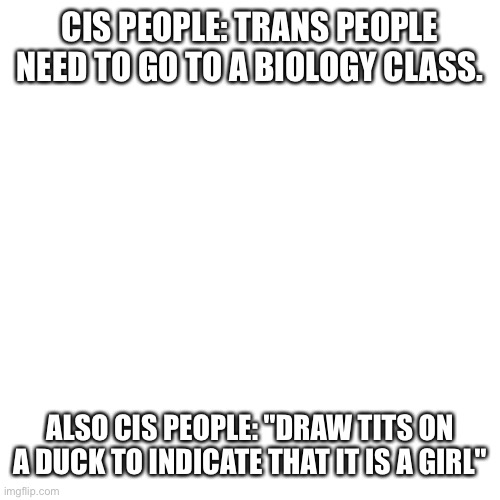 True | CIS PEOPLE: TRANS PEOPLE NEED TO GO TO A BIOLOGY CLASS. ALSO CIS PEOPLE: "DRAW TITS ON A DUCK TO INDICATE THAT IT IS A GIRL" | image tagged in memes,blank transparent square,gender,transgender,cisgender,biology | made w/ Imgflip meme maker