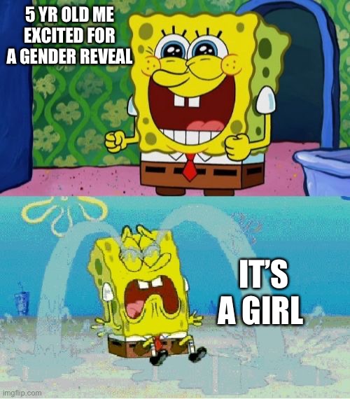 Reject modernity,embrace masculinity | 5 YR OLD ME EXCITED FOR A GENDER REVEAL; IT’S A GIRL | image tagged in spongebob happy and sad | made w/ Imgflip meme maker