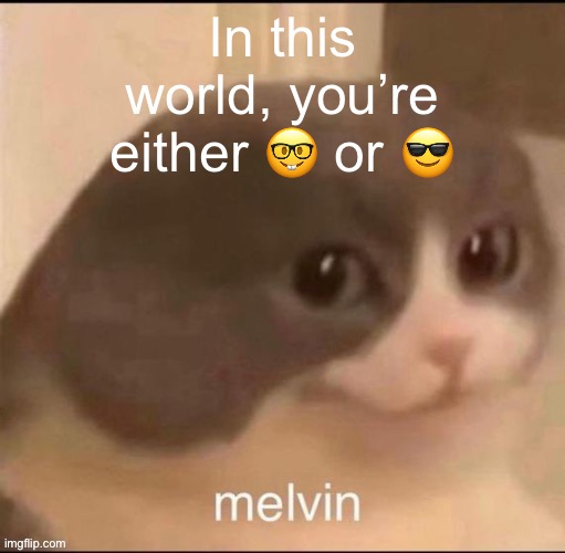 melvin | In this world, you’re either 🤓 or 😎 | image tagged in melvin | made w/ Imgflip meme maker