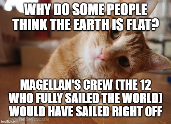 I wonder... (cuz people are dumb) | WHY DO SOME PEOPLE THINK THE EARTH IS FLAT? MAGELLAN'S CREW (THE 12 WHO FULLY SAILED THE WORLD) WOULD HAVE SAILED RIGHT OFF | image tagged in curious question cat | made w/ Imgflip meme maker