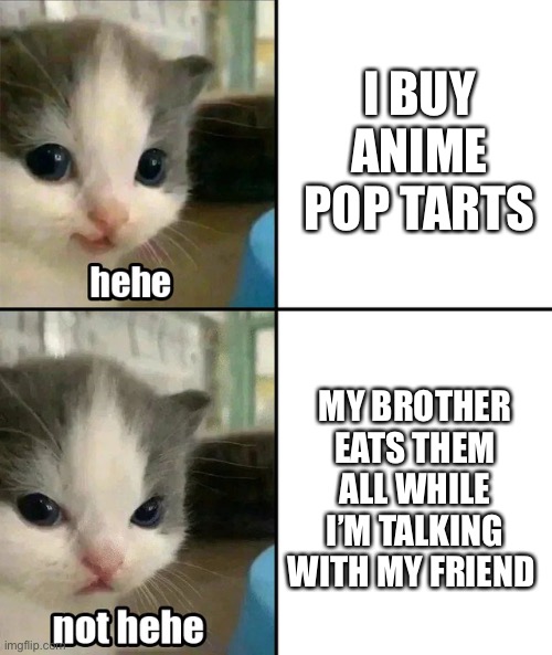 They are available in Japan | I BUY ANIME POP TARTS; MY BROTHER EATS THEM ALL WHILE I’M TALKING WITH MY FRIEND | image tagged in cute cat hehe and not hehe | made w/ Imgflip meme maker