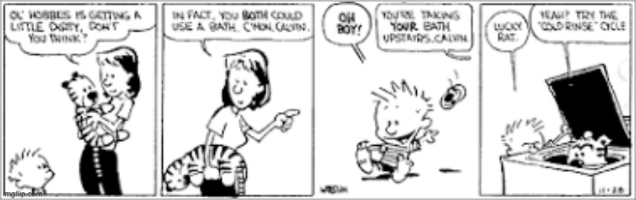 Calvin and Hobbes is a national treasure | made w/ Imgflip meme maker