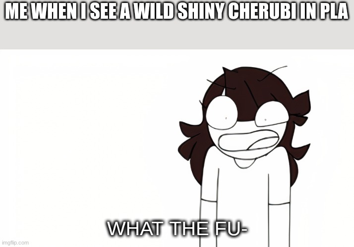 What the farfetch'd? | ME WHEN I SEE A WILD SHINY CHERUBI IN PLA | image tagged in jaiden animations what the fu- | made w/ Imgflip meme maker