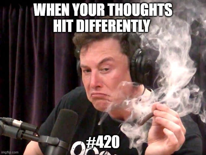 420 | WHEN YOUR THOUGHTS HIT DIFFERENTLY; #420 | image tagged in elon musk weed | made w/ Imgflip meme maker