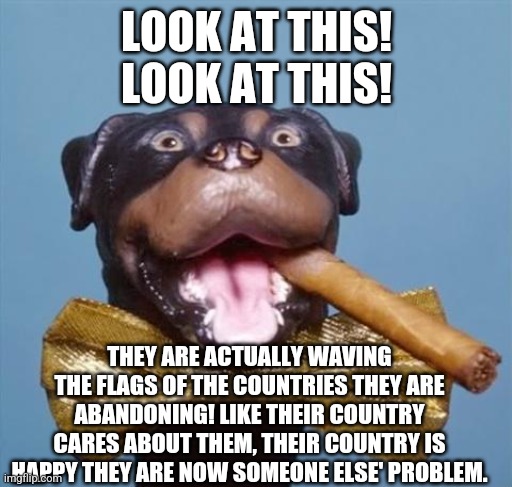 Triumph the Insult Comic Dog | LOOK AT THIS! LOOK AT THIS! THEY ARE ACTUALLY WAVING THE FLAGS OF THE COUNTRIES THEY ARE ABANDONING! LIKE THEIR COUNTRY CARES ABOUT THEM, TH | image tagged in triumph the insult comic dog | made w/ Imgflip meme maker