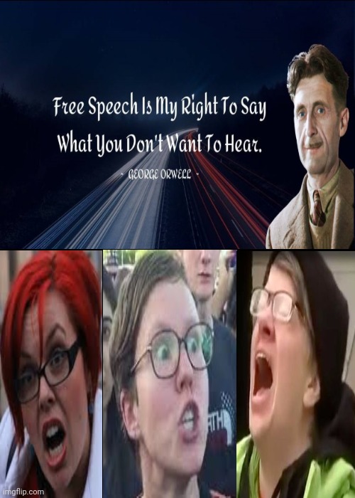 Orwell to leftist on imgflip | image tagged in george orwell,1984,sjws,sjw triggered,free speech | made w/ Imgflip meme maker