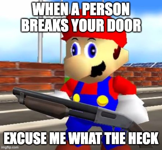 SMG4 Shotgun Mario | WHEN A PERSON BREAKS YOUR DOOR; EXCUSE ME WHAT THE HECK | image tagged in smg4 shotgun mario | made w/ Imgflip meme maker