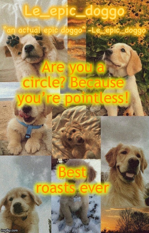 Doggo temp by doggo. Wait what that’s confusing | Are you a circle? Because you’re pointless! Best roasts ever | image tagged in doggo temp by doggo wait what that s confusing | made w/ Imgflip meme maker
