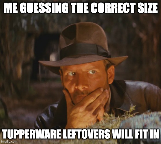 Tupperware Size | ME GUESSING THE CORRECT SIZE; TUPPERWARE LEFTOVERS WILL FIT IN | image tagged in indiana jones guessing | made w/ Imgflip meme maker