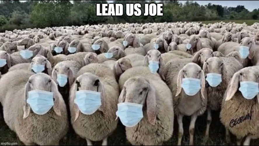 LEAD US JOE | made w/ Imgflip meme maker