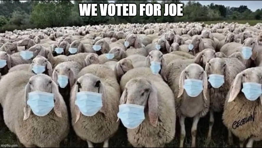 WE VOTED FOR JOE | made w/ Imgflip meme maker