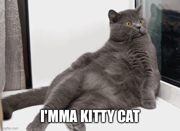 Kitty | I'MMA KITTY CAT | image tagged in cats | made w/ Imgflip meme maker