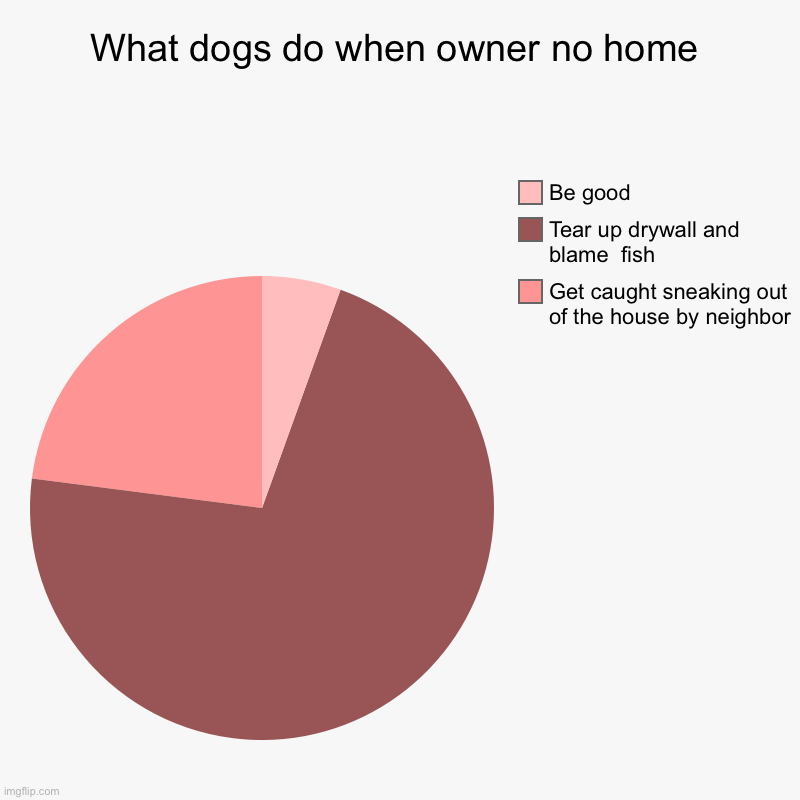 When owner of dog not home dog do: | What dogs do when owner no home | Get caught sneaking out of the house by neighbor, Tear up drywall and blame  fish , Be good | image tagged in charts,pie charts | made w/ Imgflip chart maker