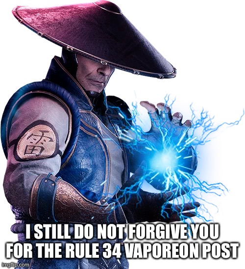 Lord raiden | I STILL DO NOT FORGIVE YOU FOR THE RULE 34 VAPOREON POST | image tagged in lord raiden | made w/ Imgflip meme maker