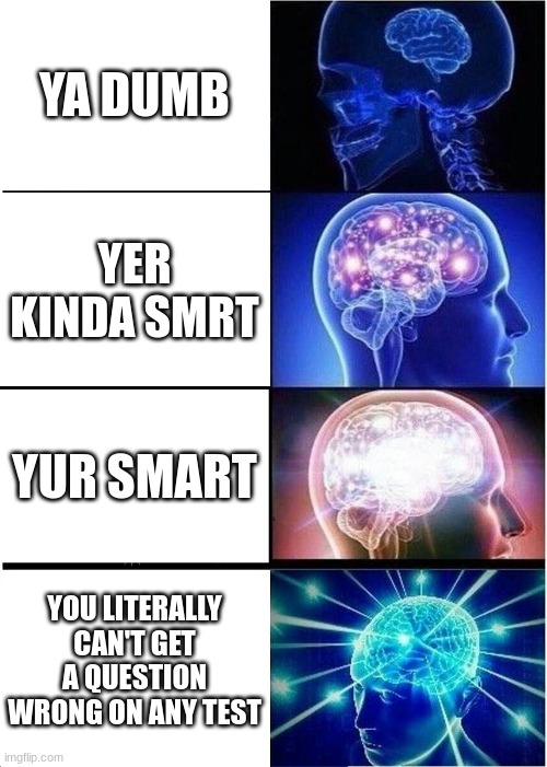 Expanding Brain Meme | YA DUMB; YER KINDA SMRT; YUR SMART; YOU LITERALLY CAN'T GET A QUESTION WRONG ON ANY TEST | image tagged in memes,expanding brain | made w/ Imgflip meme maker
