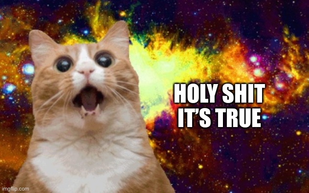 Mind Blown cat | HOLY SHIT
IT’S TRUE | image tagged in mind blown cat | made w/ Imgflip meme maker