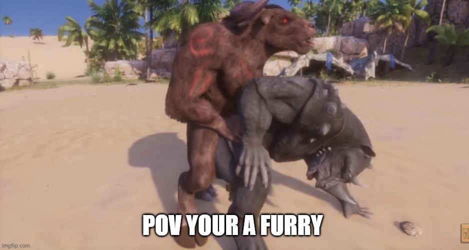 Pov your Rhino | POV YOUR A FURRY | image tagged in furries,anti furry,ha gay,funny memes,dark humor | made w/ Imgflip meme maker