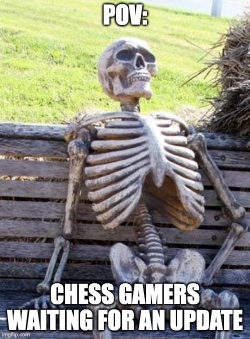 They're still working on it | POV:; CHESS GAMERS WAITING FOR AN UPDATE | image tagged in memes,waiting skeleton | made w/ Imgflip meme maker