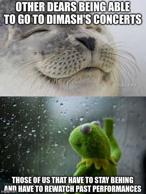 *sigh* *eats bread with sour cream* | OTHER DEARS BEING ABLE TO GO TO DIMASH'S CONCERTS; THOSE OF US THAT HAVE TO STAY BEHING AND HAVE TO REWATCH PAST PERFORMANCES | image tagged in happy seal,kermit window | made w/ Imgflip meme maker