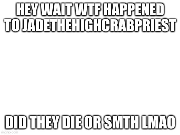 Blank White Template | HEY WAIT WTF HAPPENED TO JADETHEHIGHCRABPRIEST; DID THEY DIE OR SMTH LMAO | image tagged in blank white template | made w/ Imgflip meme maker