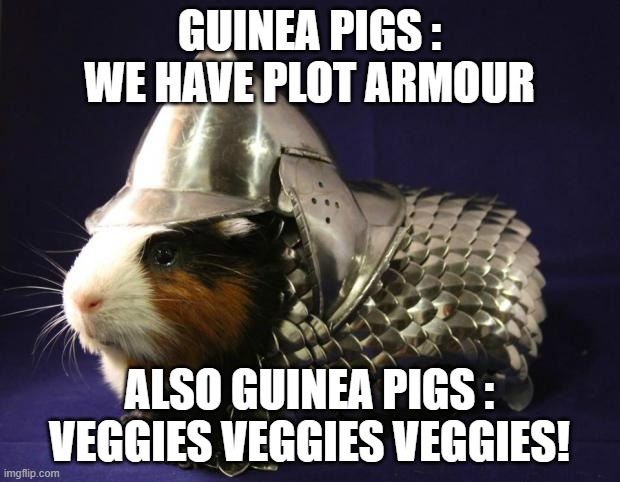 Guinea Pig | GUINEA PIGS : WE HAVE PLOT ARMOUR; ALSO GUINEA PIGS : VEGGIES VEGGIES VEGGIES! | image tagged in guinea pig | made w/ Imgflip meme maker