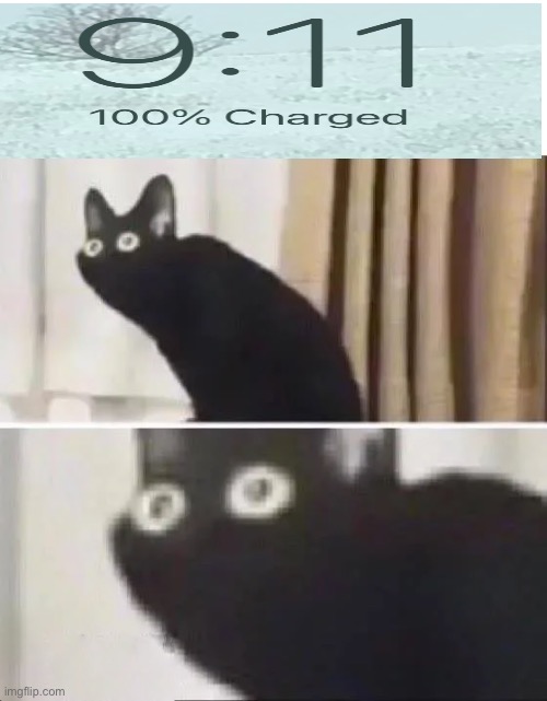 Oh no | image tagged in oh no black cat,911 9/11 twin towers impact,scared cat | made w/ Imgflip meme maker