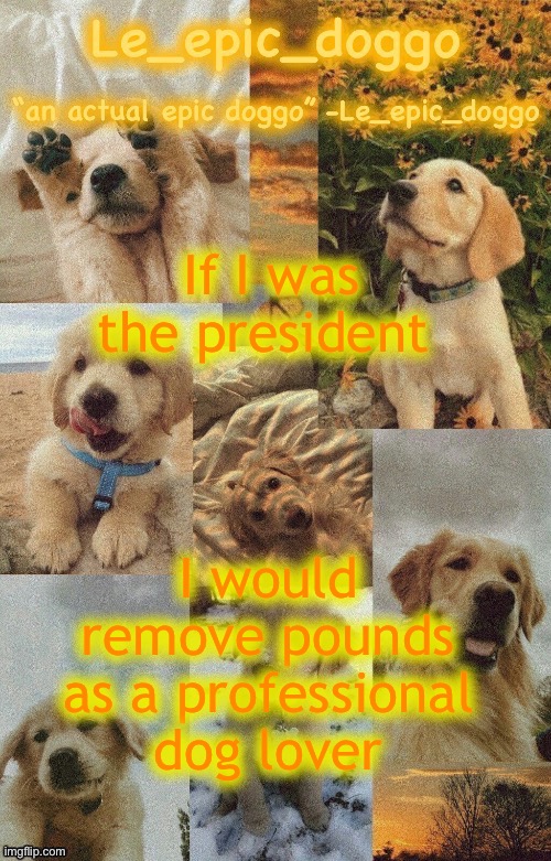 Doggo temp by doggo. Wait what that’s confusing | If I was the president; I would remove pounds as a professional dog lover | image tagged in doggo temp by doggo wait what that s confusing | made w/ Imgflip meme maker