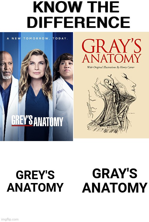 Grey Or Gray's Anatomy?? | GRAY'S ANATOMY; GREY'S ANATOMY | image tagged in know the difference | made w/ Imgflip meme maker