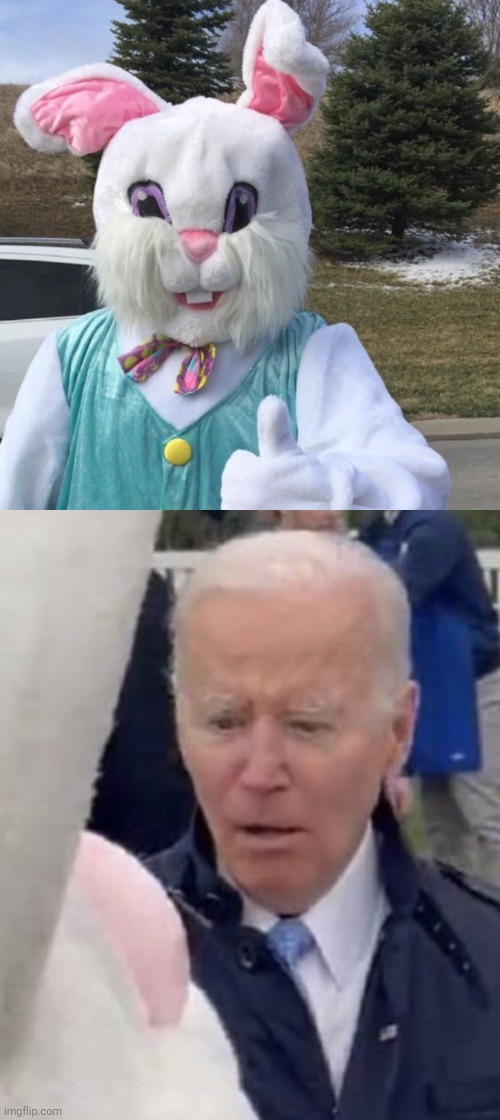 Joe is Lagomorphobic | image tagged in rabbit,joe biden | made w/ Imgflip meme maker