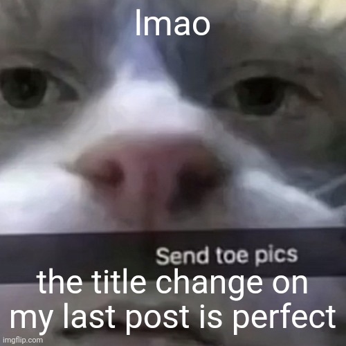 kat | lmao; the title change on my last post is perfect | image tagged in kat | made w/ Imgflip meme maker