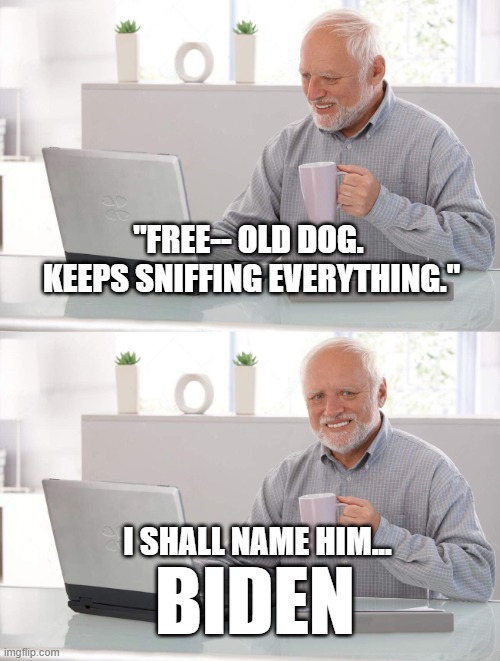 Name it... | "FREE-- OLD DOG.  KEEPS SNIFFING EVERYTHING."; I SHALL NAME HIM... BIDEN | image tagged in old man cup of coffee | made w/ Imgflip meme maker