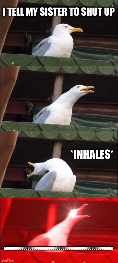 little sisters | I TELL MY SISTER TO SHUT UP; *INHALES*; MOOOOOOOOOOOOOOOOOOOOOOOOOOOOOOOOOOOOOOOOOOOOOOOOOOM | image tagged in inhaling seagull | made w/ Imgflip meme maker
