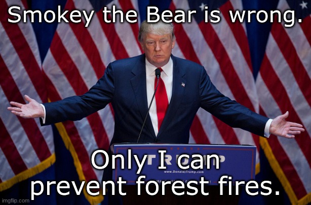 Smokey is wrong | Smokey the Bear is wrong. Only I can prevent forest fires. | image tagged in donald trump | made w/ Imgflip meme maker