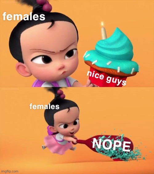 Whole Time | image tagged in females,nice guys,boss baby,staci | made w/ Imgflip meme maker