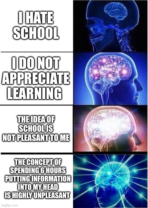 Hehe | I HATE SCHOOL; I DO NOT APPRECIATE LEARNING; THE IDEA OF SCHOOL IS NOT PLEASANT TO ME; THE CONCEPT OF SPENDING 6 HOURS PUTTING INFORMATION INTO MY HEAD IS HIGHLY UNPLEASANT | image tagged in memes,expanding brain | made w/ Imgflip meme maker