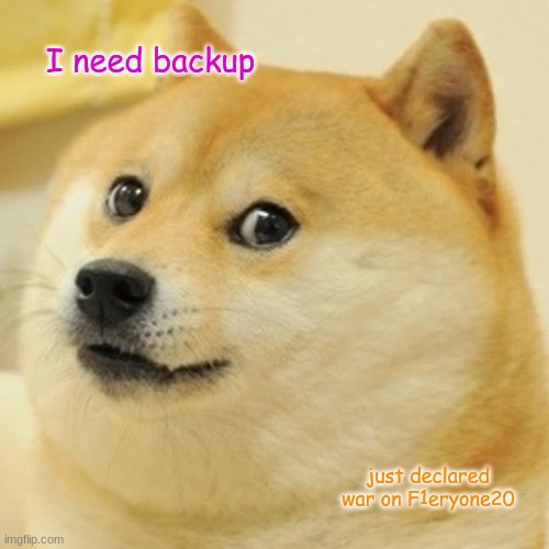 Doge Meme | I need backup; just declared war on F1eryone20 | image tagged in memes,doge | made w/ Imgflip meme maker