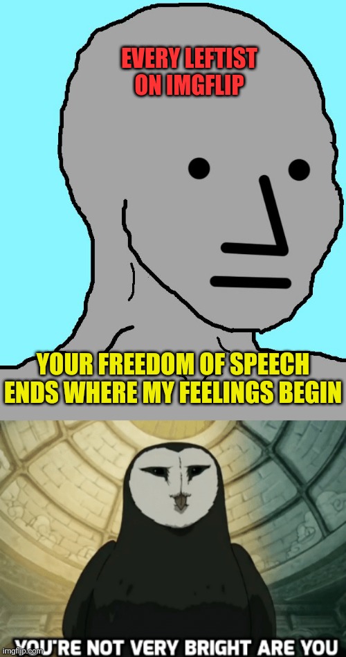 EVERY LEFTIST ON IMGFLIP; YOUR FREEDOM OF SPEECH ENDS WHERE MY FEELINGS BEGIN | image tagged in npc,sjws,leftists,dumbasses | made w/ Imgflip meme maker