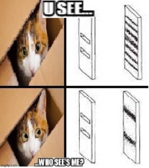 Schrödinger's cat | image tagged in physics | made w/ Imgflip meme maker