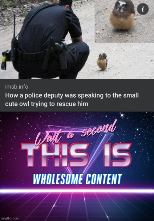 image tagged in wait a second this is wholesome content,police,owl | made w/ Imgflip meme maker