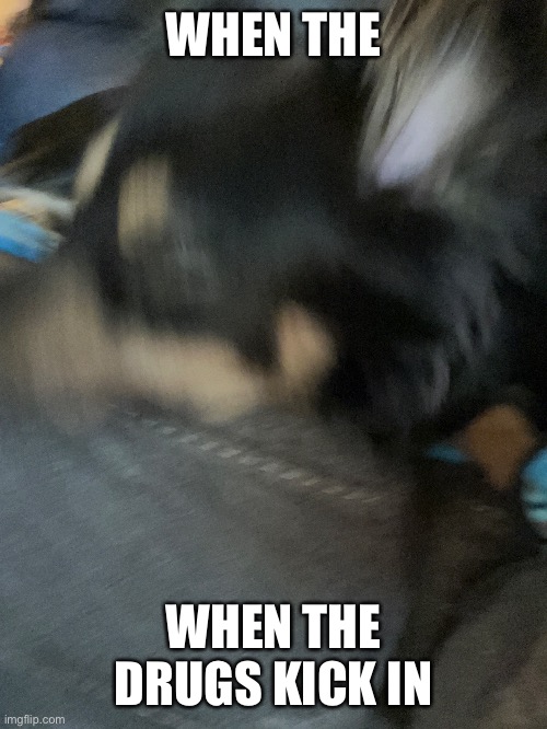 WHEN THE; WHEN THE DRUGS KICK IN | made w/ Imgflip meme maker