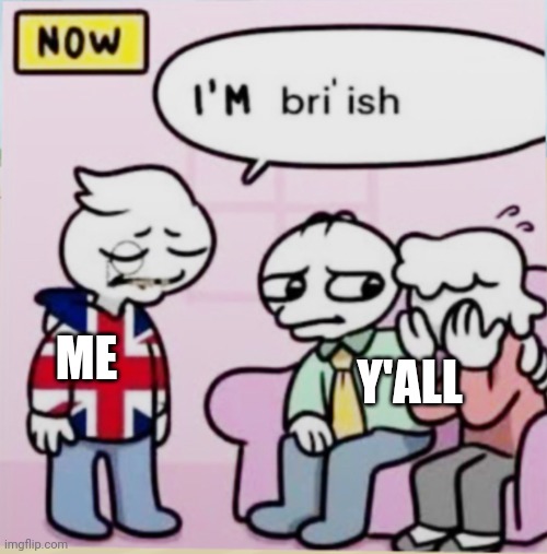 I’m bri’ish | ME; Y'ALL | image tagged in i m bri ish | made w/ Imgflip meme maker