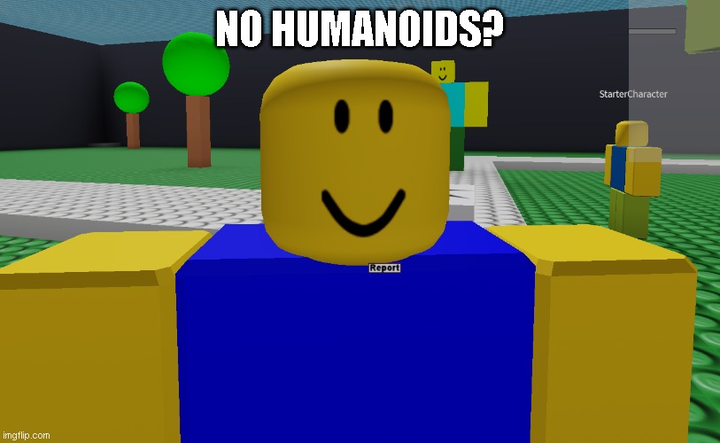 No humanoids | NO HUMANOIDS? | image tagged in noob,no bitches,roblox,cursed roblox image | made w/ Imgflip meme maker