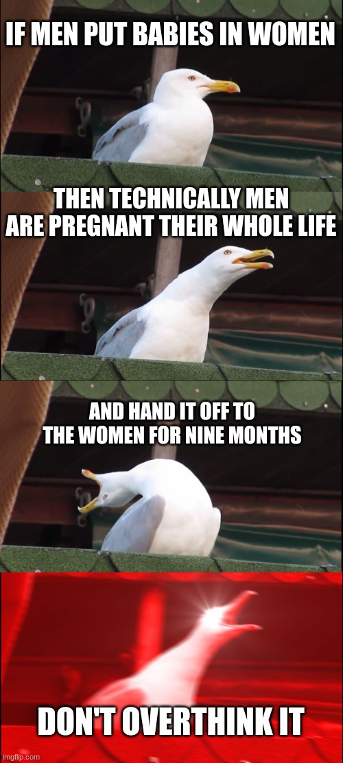 first page is not an option | IF MEN PUT BABIES IN WOMEN; THEN TECHNICALLY MEN ARE PREGNANT THEIR WHOLE LIFE; AND HAND IT OFF TO THE WOMEN FOR NINE MONTHS; DON'T OVERTHINK IT | image tagged in memes,inhaling seagull | made w/ Imgflip meme maker